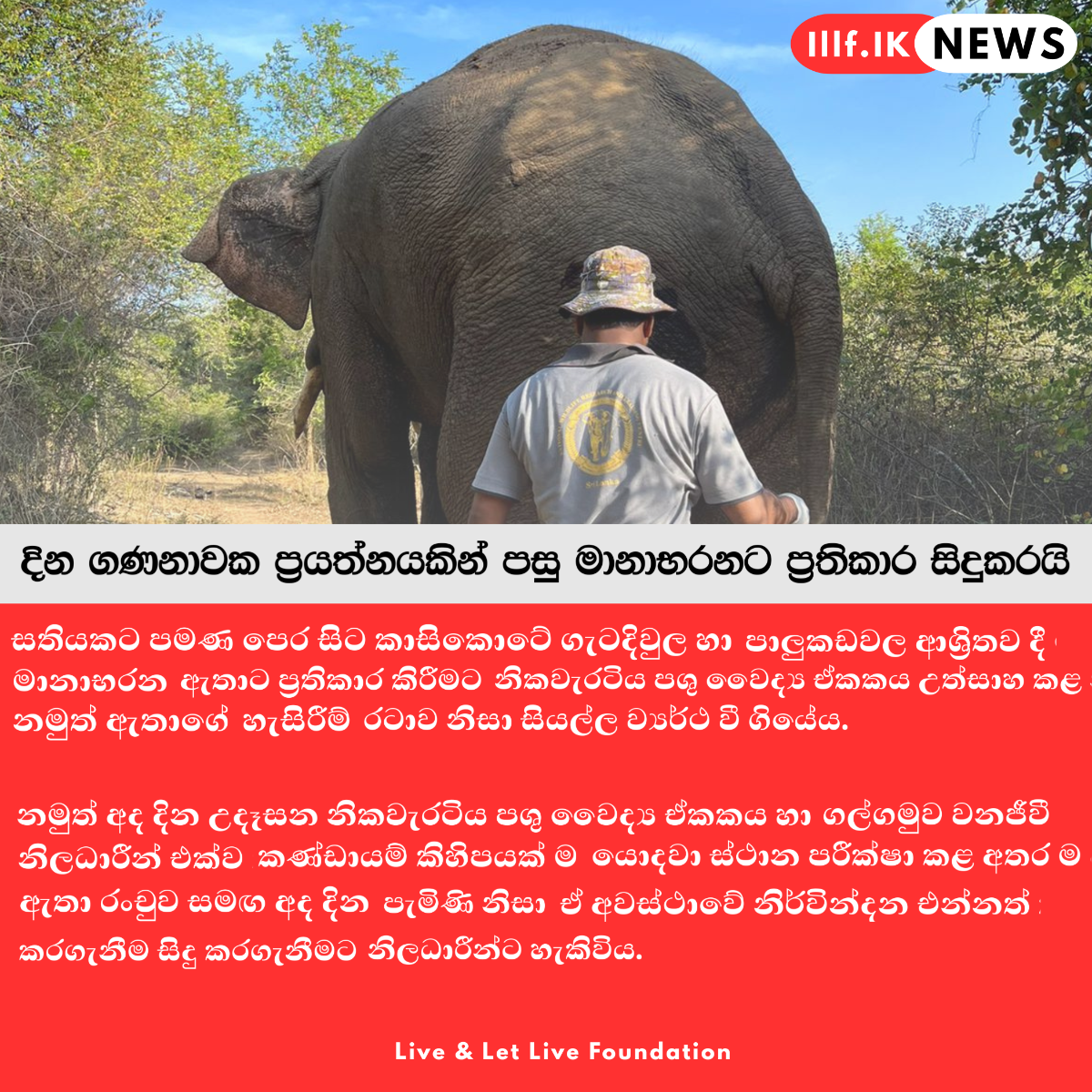දින ගණනාවක ප්‍රයත්නයකින් පසු මානාභරනට ප්‍රතිකාර සිදුකරයි