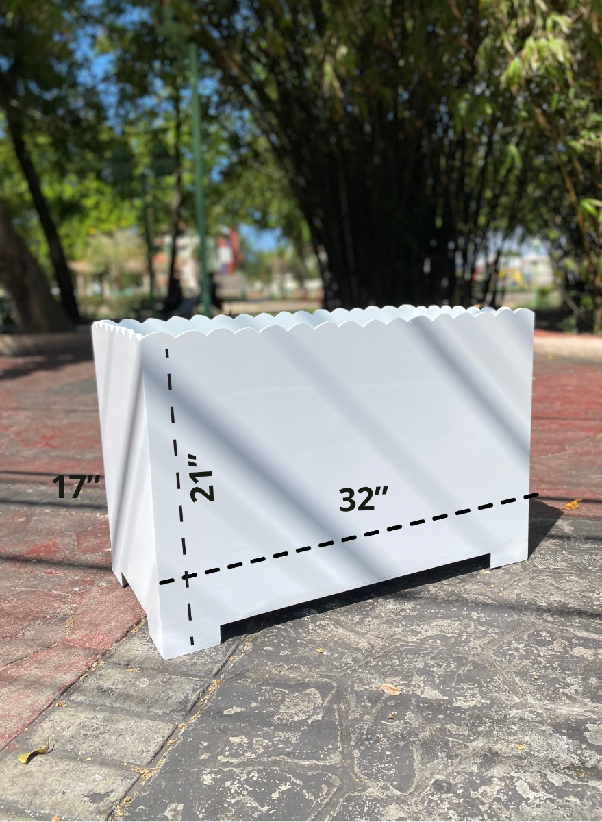 Caja de Regalo — Lluvia de Ideas Party