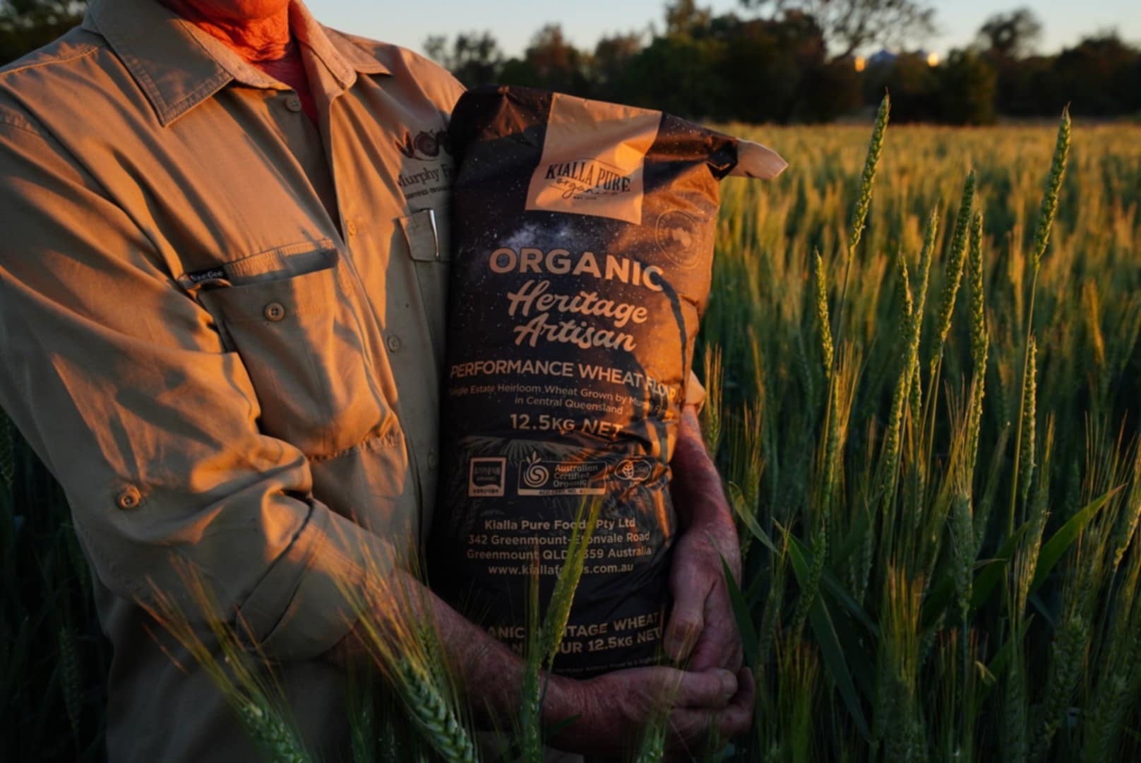Organic Flour