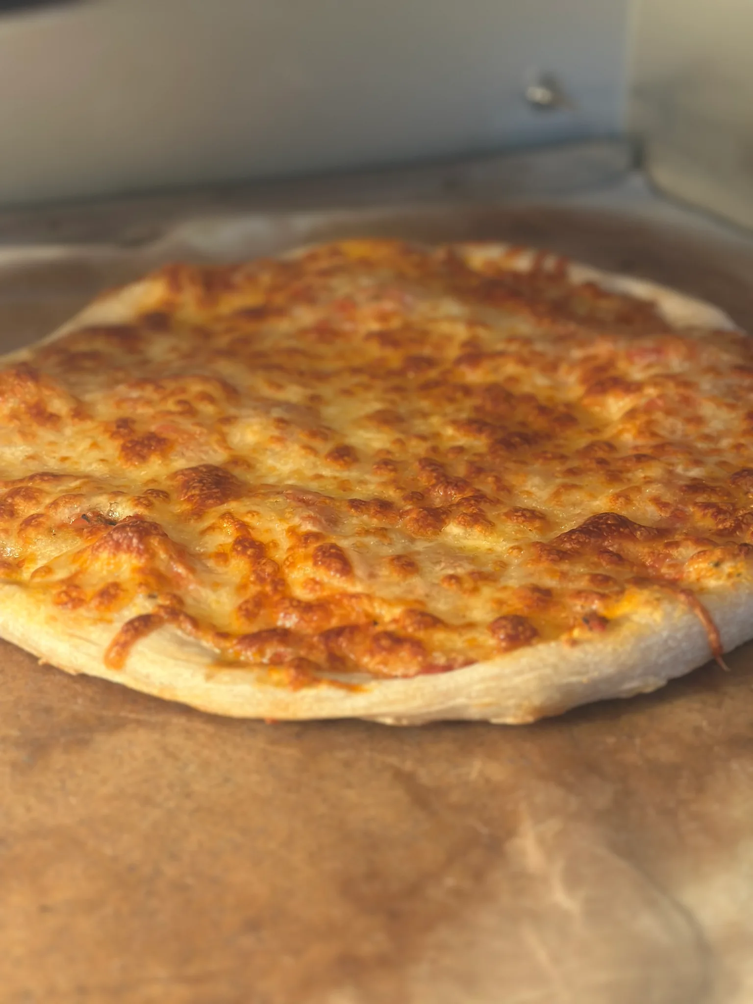 Sourdough pizza crust
