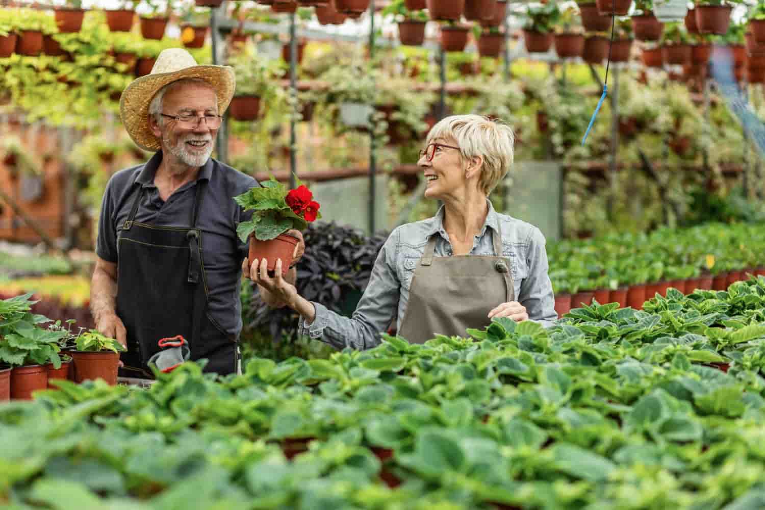 New Rules for BC Farms