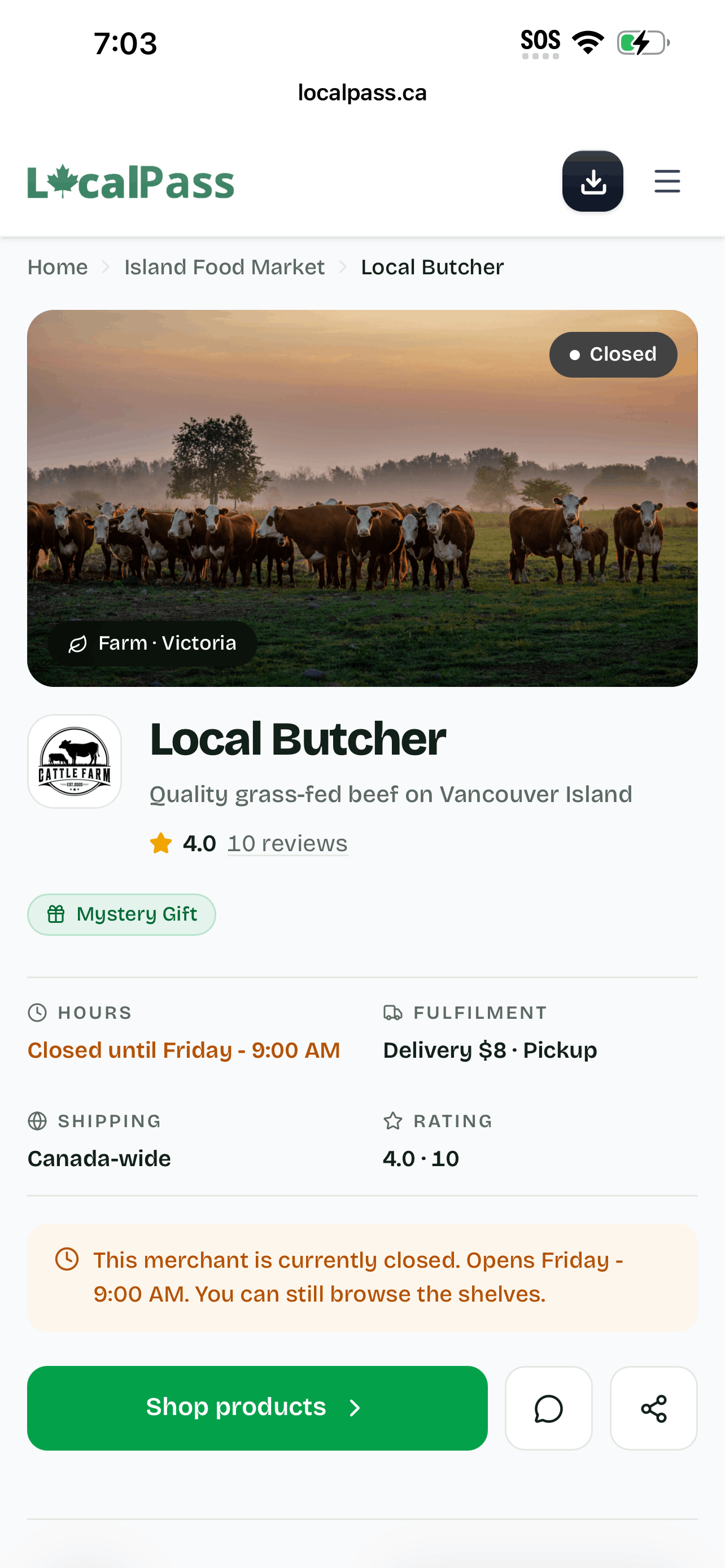 Local Pass business app — Your storefront