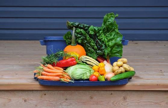 Summer veggie share