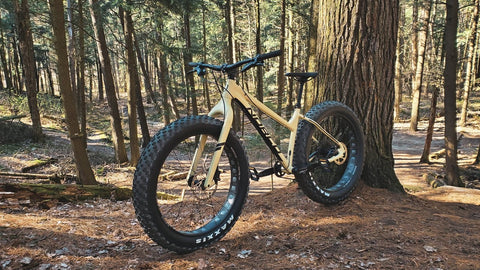 Mountain bike
