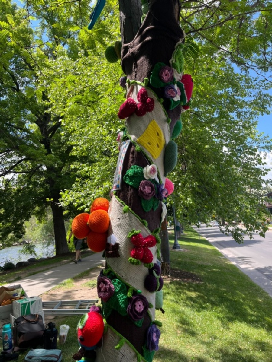 Yarn Bomb Reno