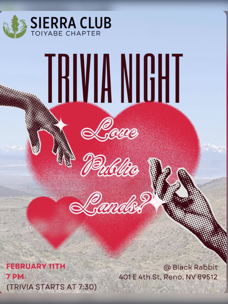 Trivia Night