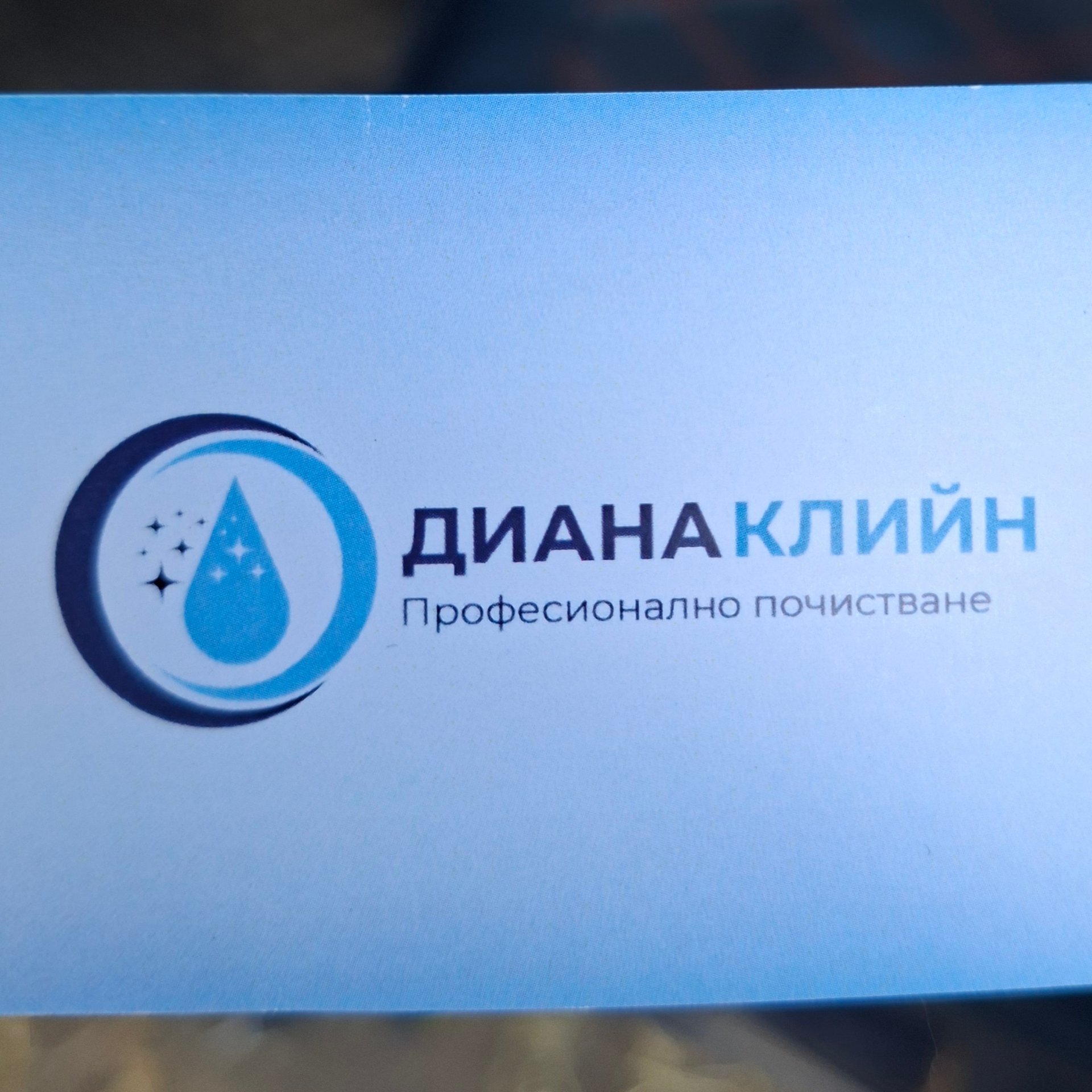 Диана Клийн