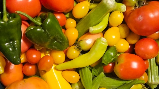 Thumbnail image 3 for Fresh Basil