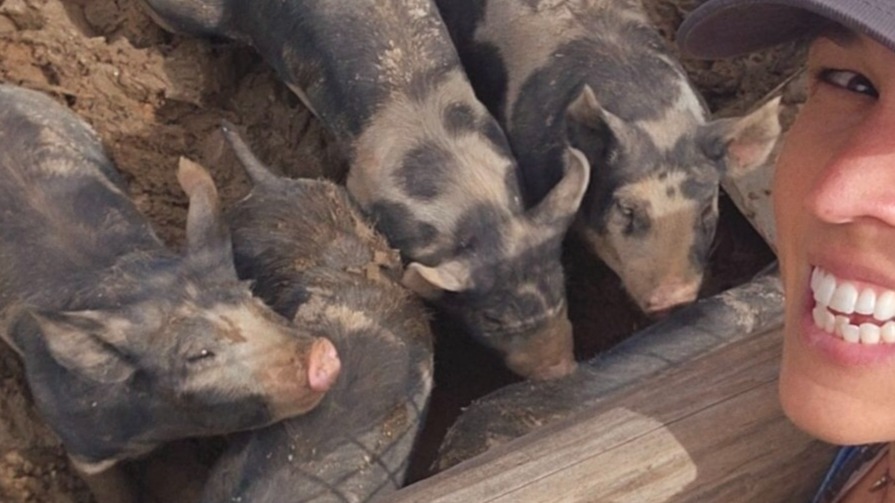 Thumbnail image 2 for Whole Hog Deposit