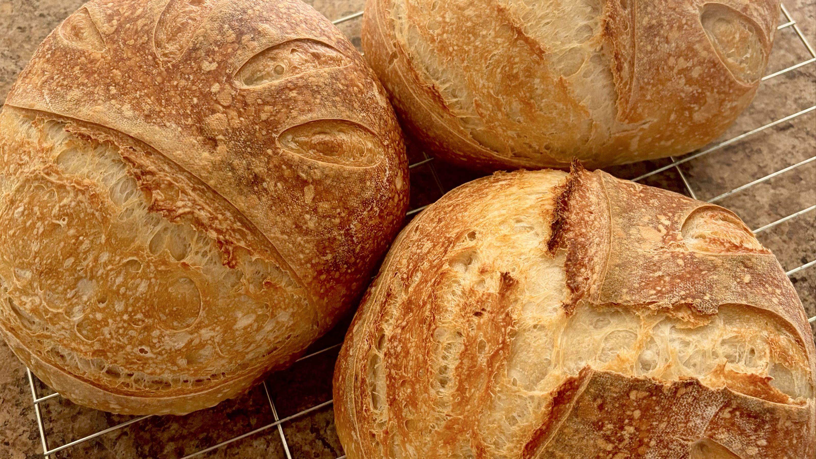 Thumbnail image 2 for Cinnamon Sugar Sourdough