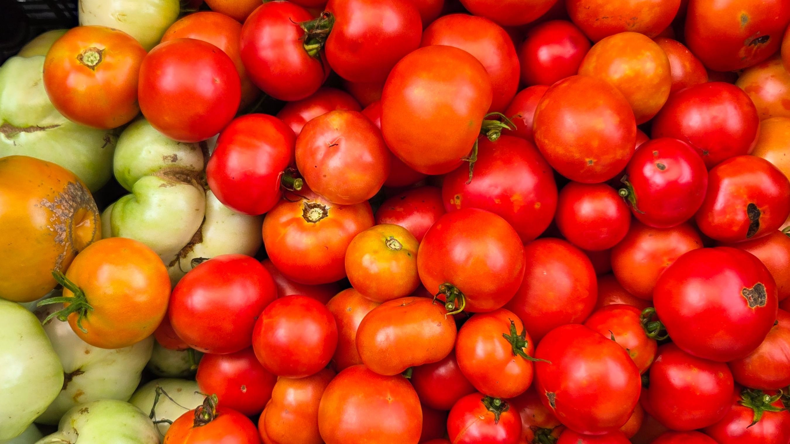 Thumbnail image 2 for Seasonal Veggie Box - Small ~5 Lbs