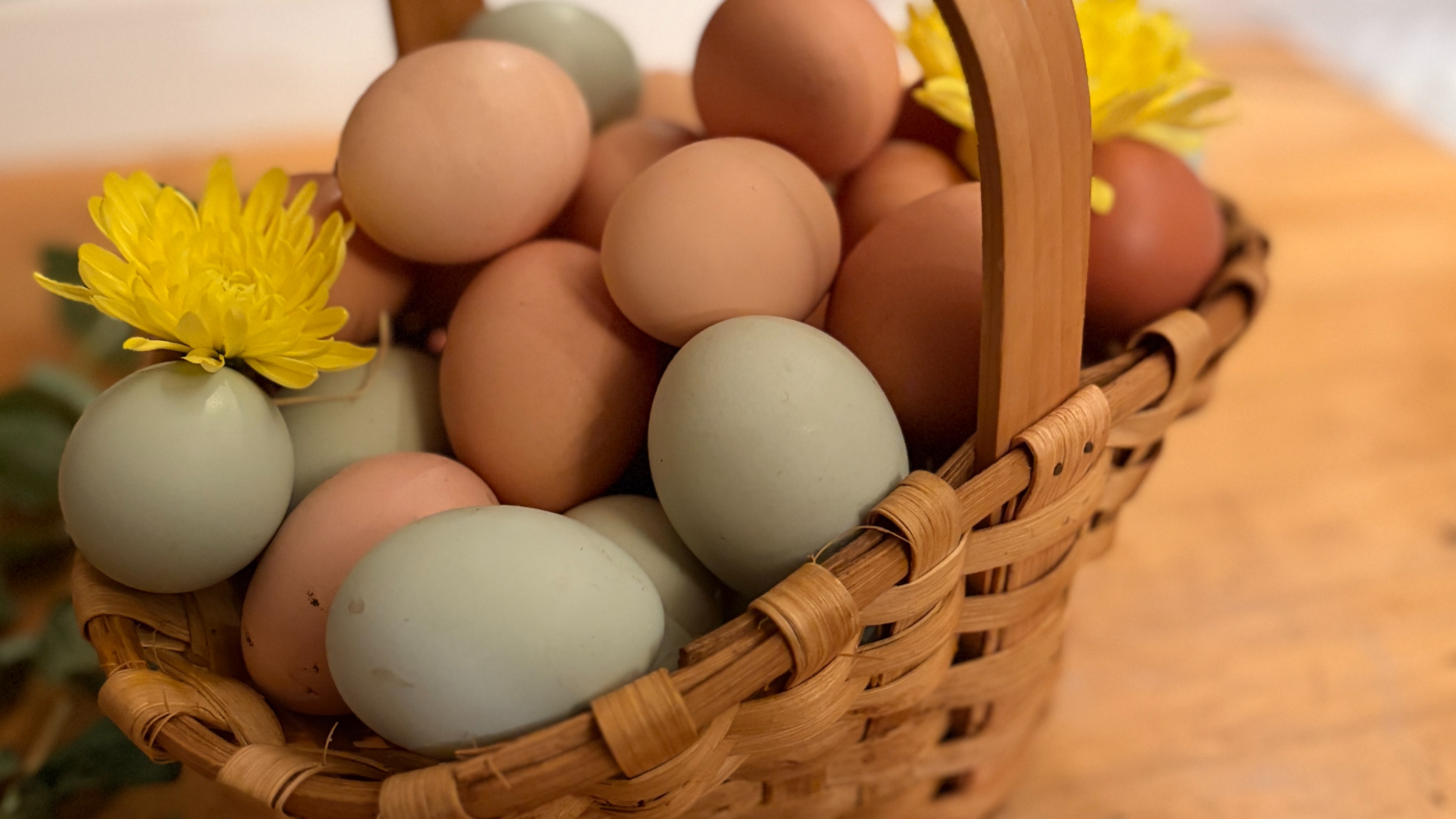 Thumbnail image 4 for Free-Range Eggs - Half Dozen