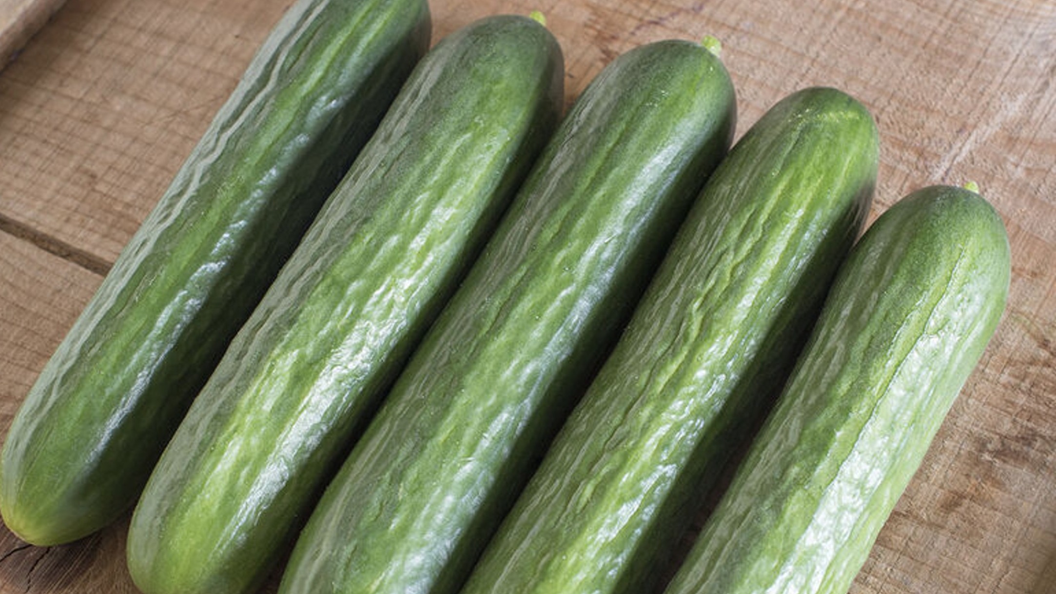 START - Cucumber - Katrina