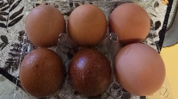 1/2 Dozen Mixed Eggs 