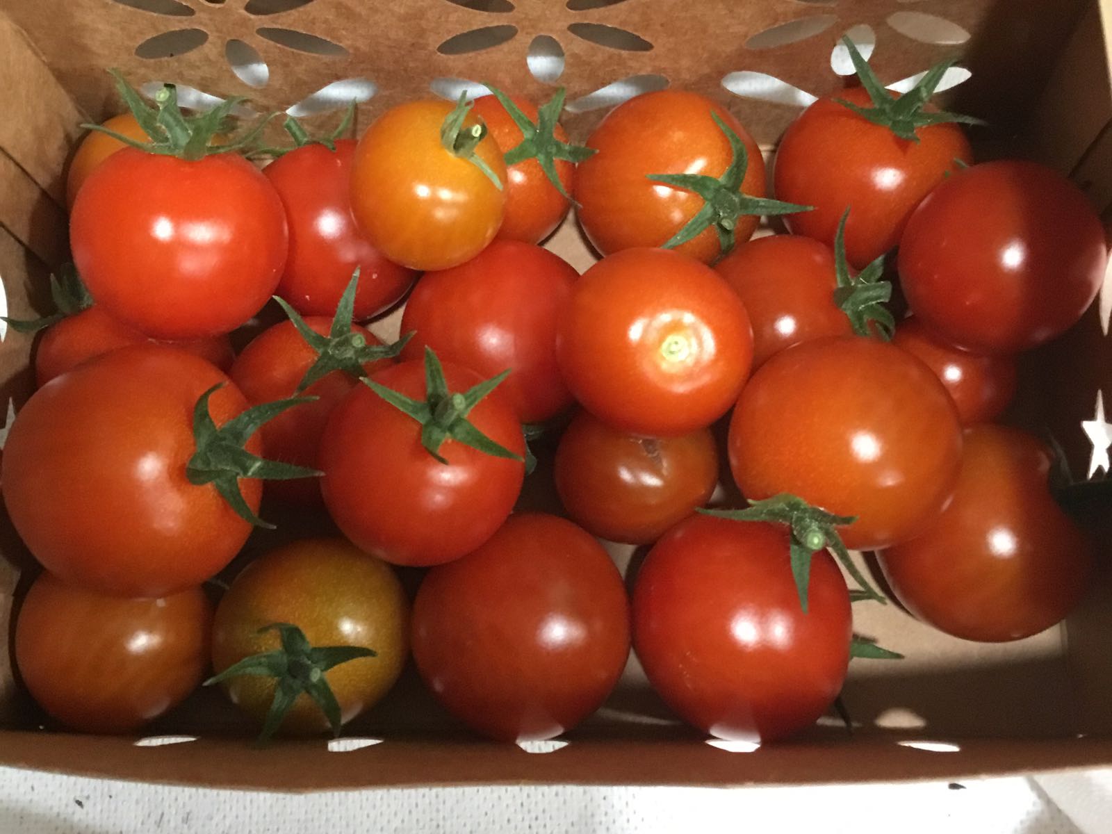 Grab N Go - Tomatoes Cherry Super Sweet 100s