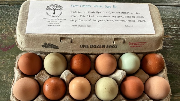 Pasture-Raised Eggs