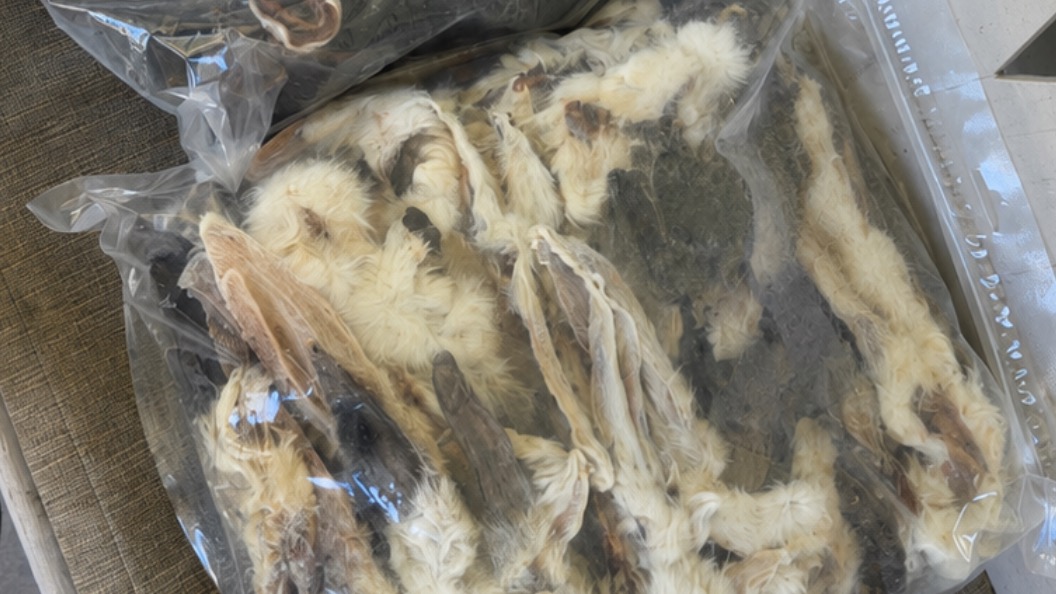 Dehydrated rabbit ear with fur