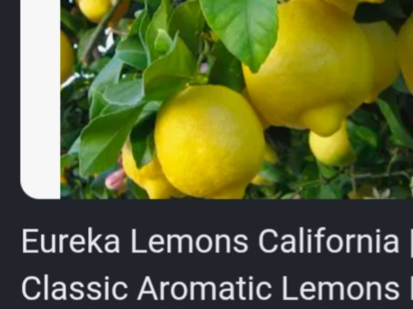 Eureka Lemons