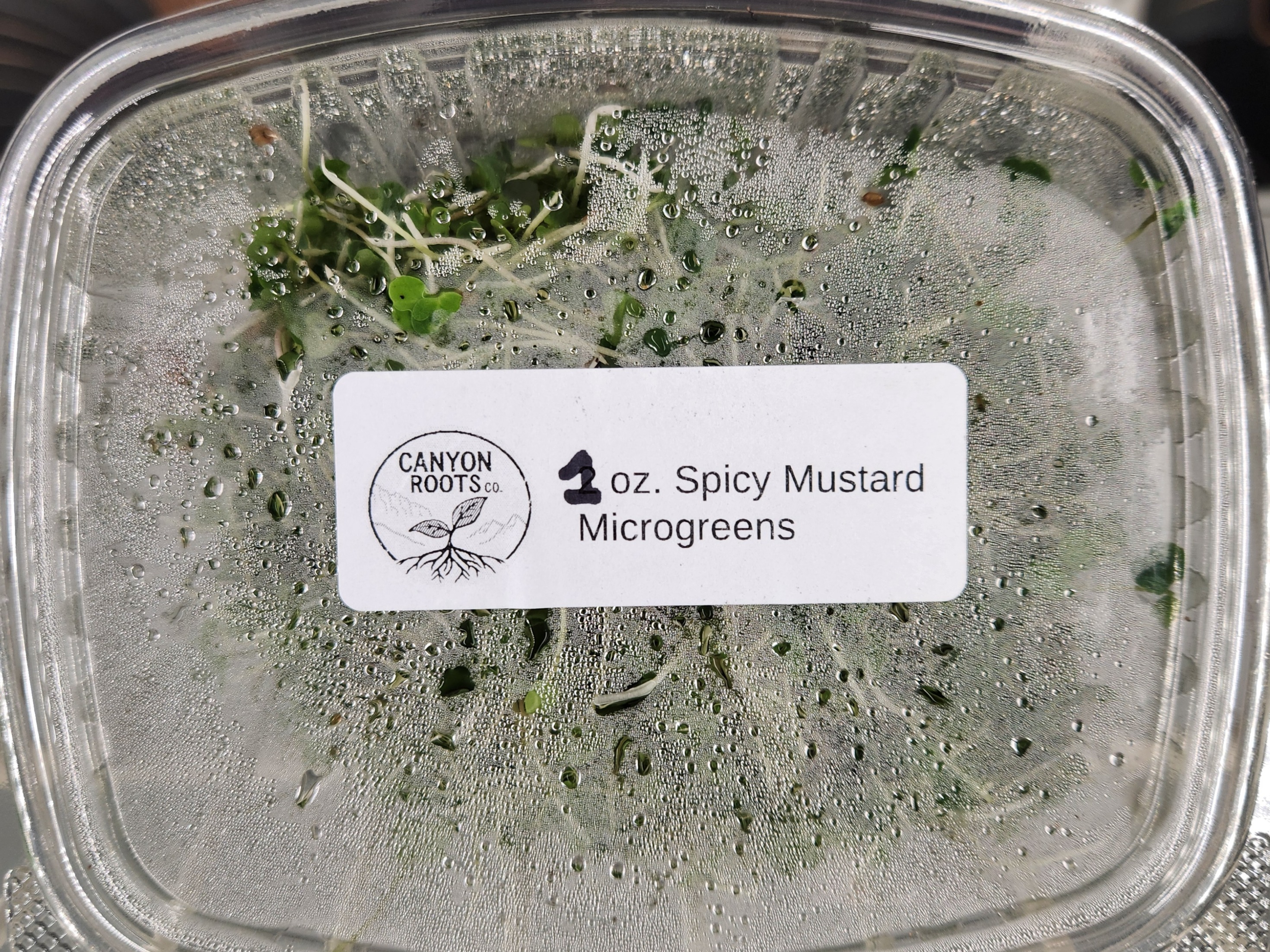 CRC - Spicy Mustard Microgreens - 1 oz.