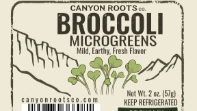 Thumbnail image 2 for Broccoli Microgreens