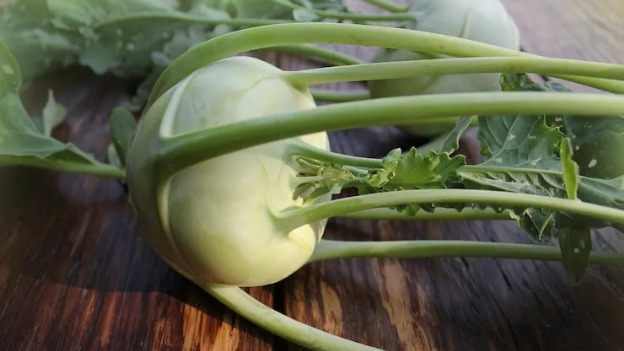 Kohlrabi