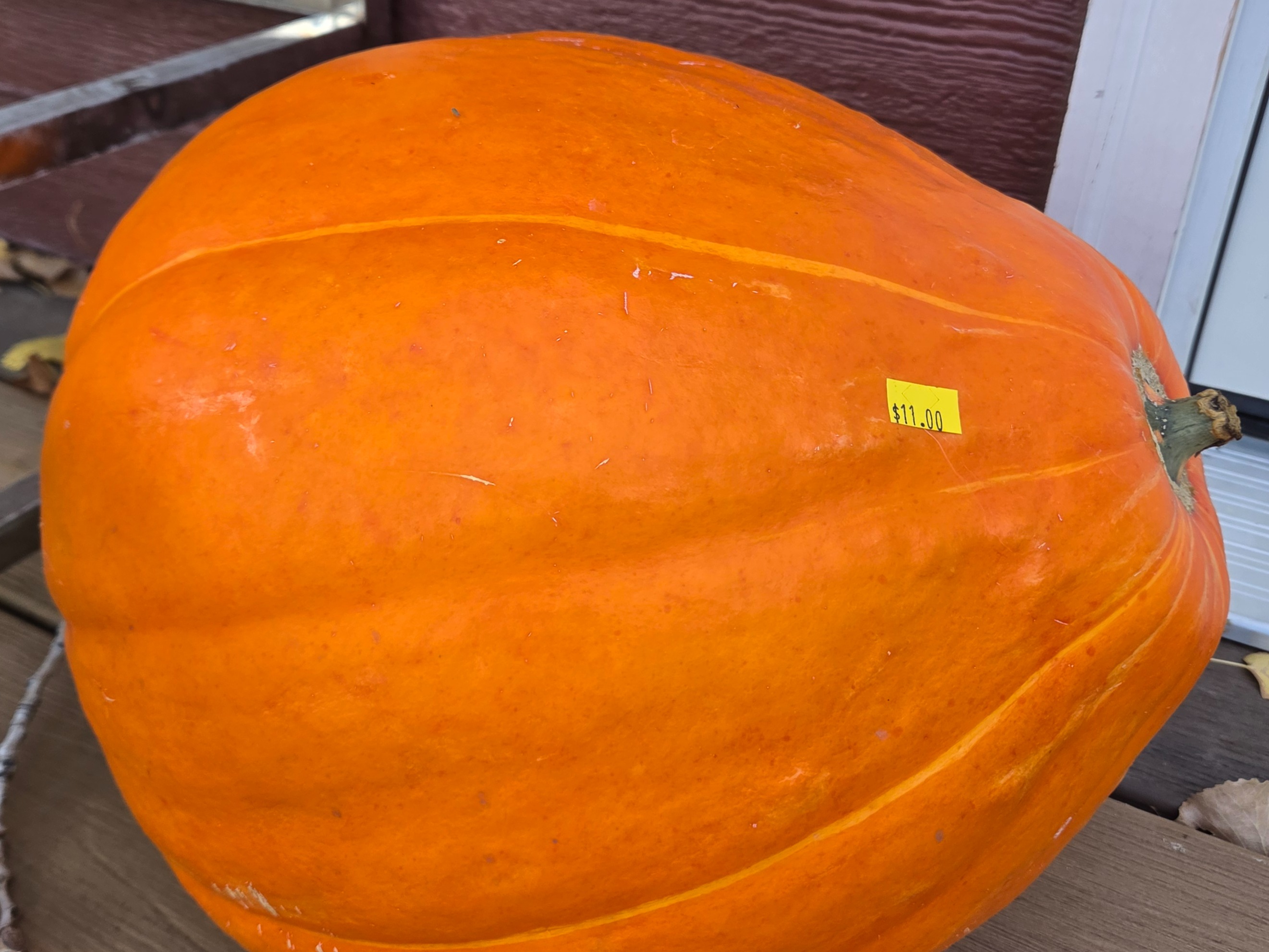 Decor - Carving Pumpkin