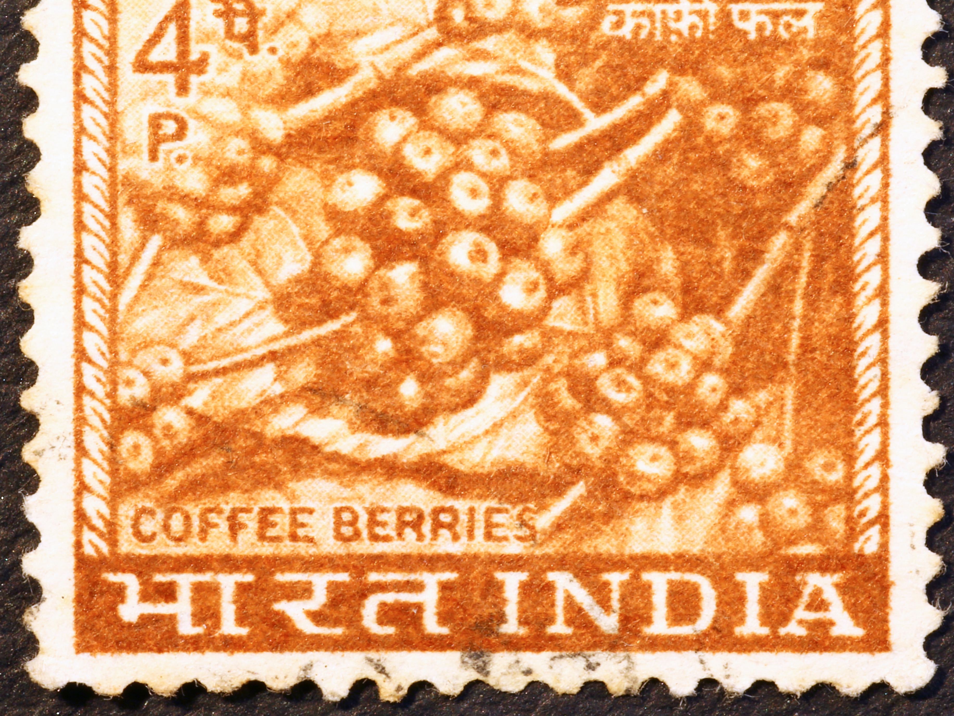 Thumbnail image 2 for 5lb India Monsoon Medium/Dark Roast Whole Bean