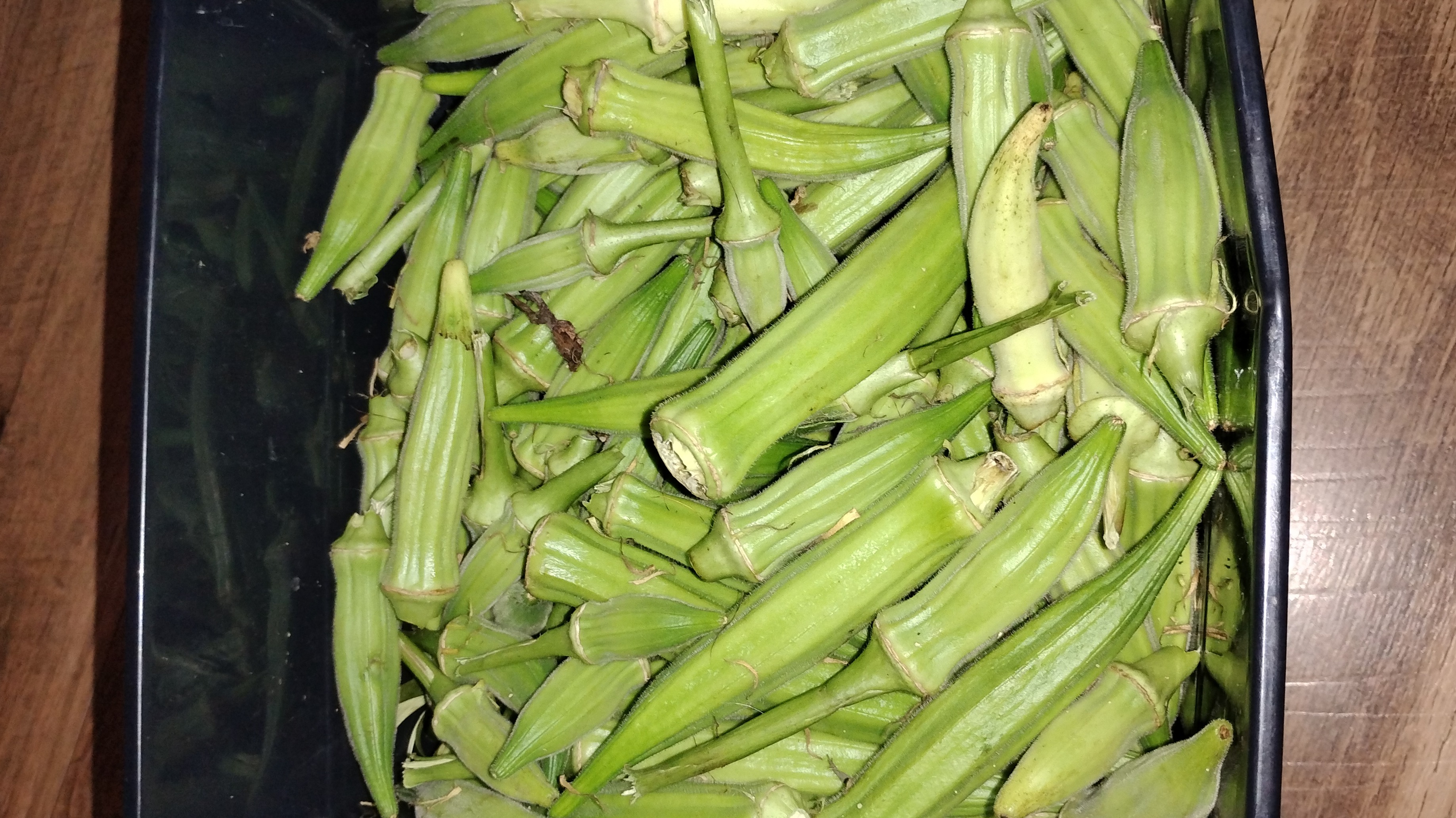 Okra