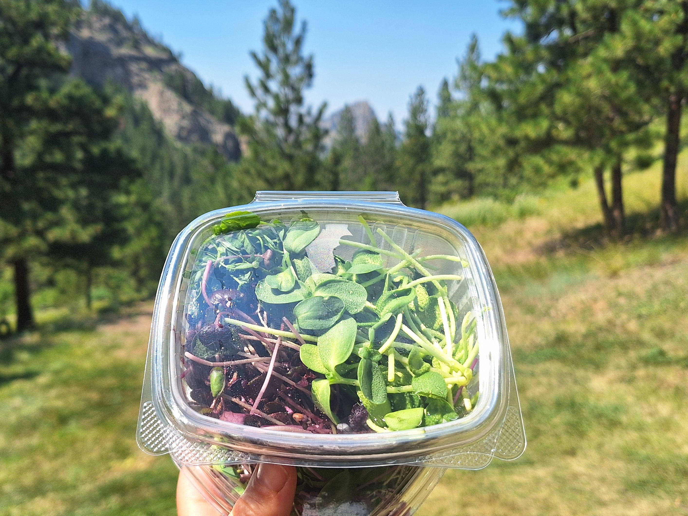 Variety Pack - 2 oz. 