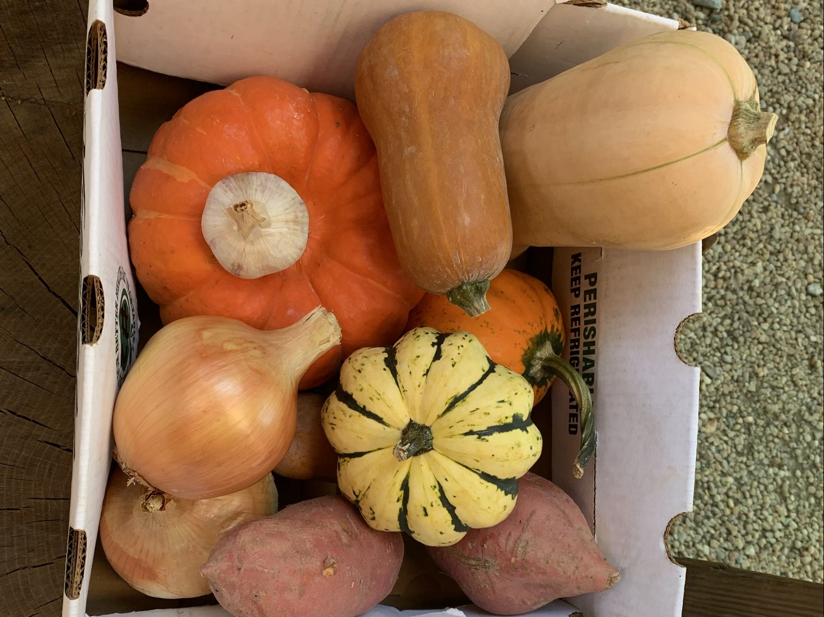 Thumbnail image 1 for Fall Vegtables box 