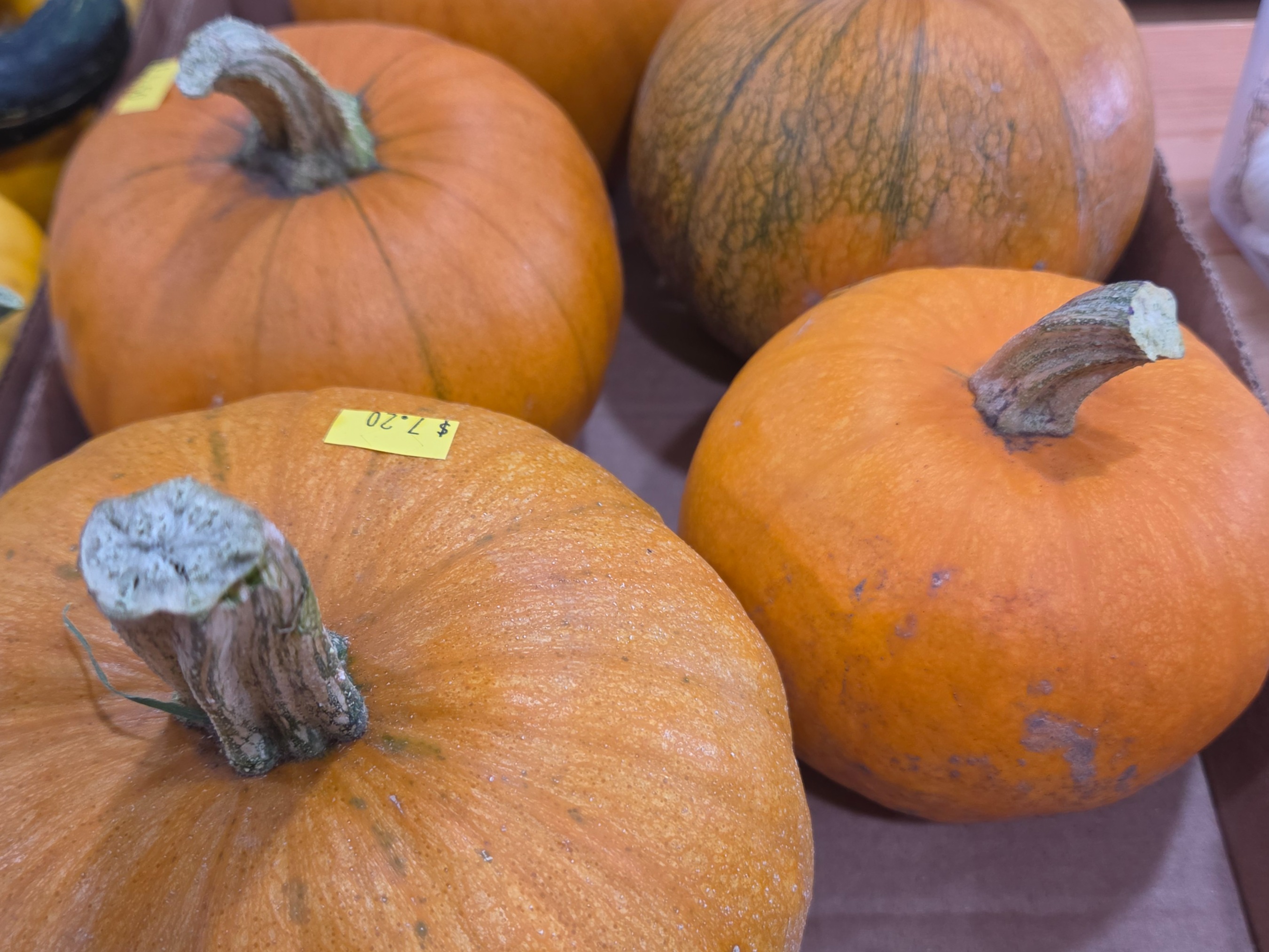 Fresh - Pumpkin, Pie Pumpkin