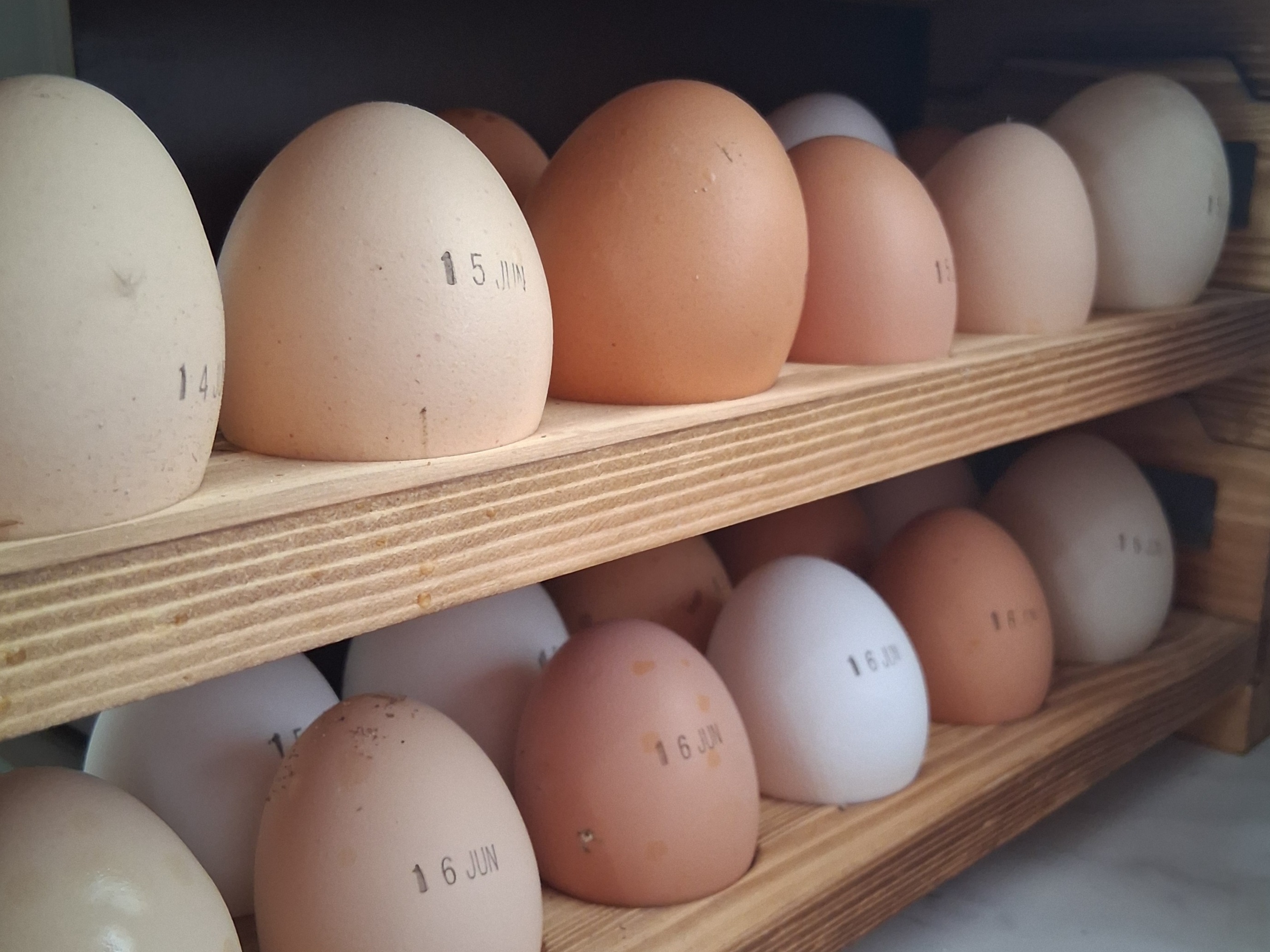 Pasture-Raised Eggs - Half Dozen