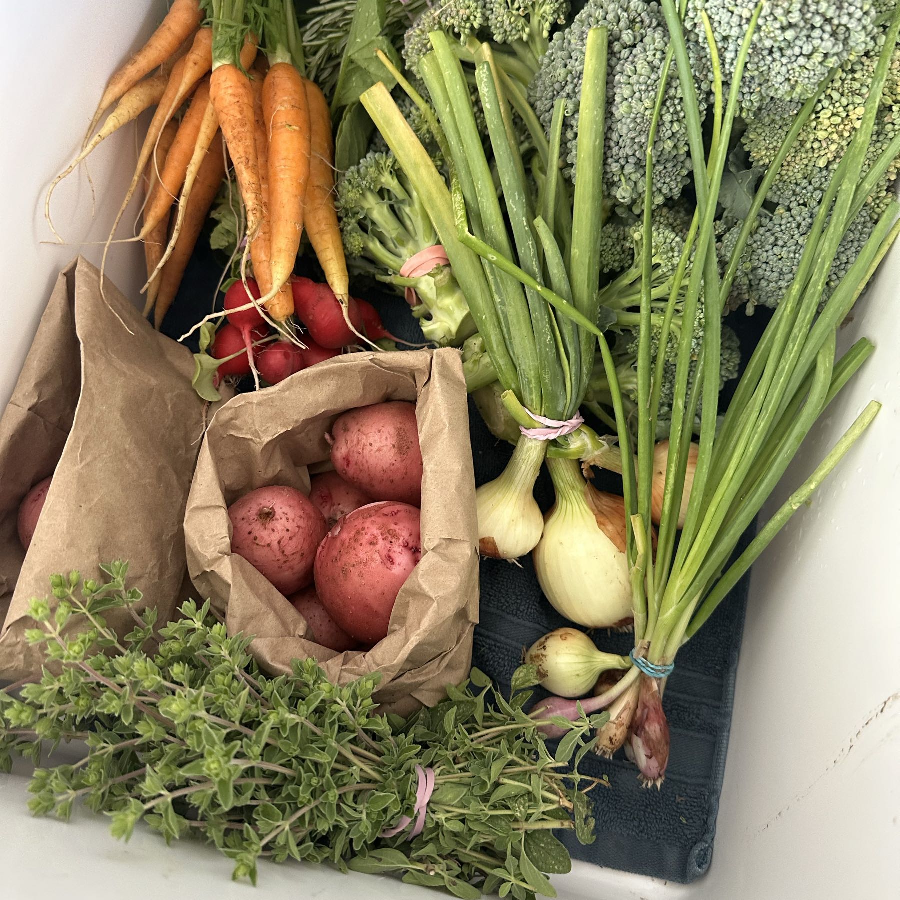 Farm Stand Bag