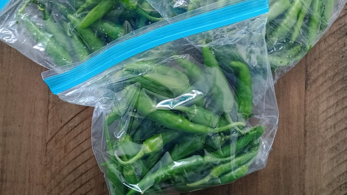 Indian Green Chillies