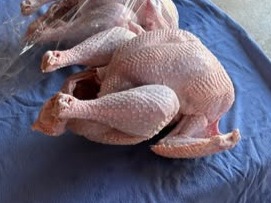 Thumbnail image 2 for Turkey Bone Broth Packet