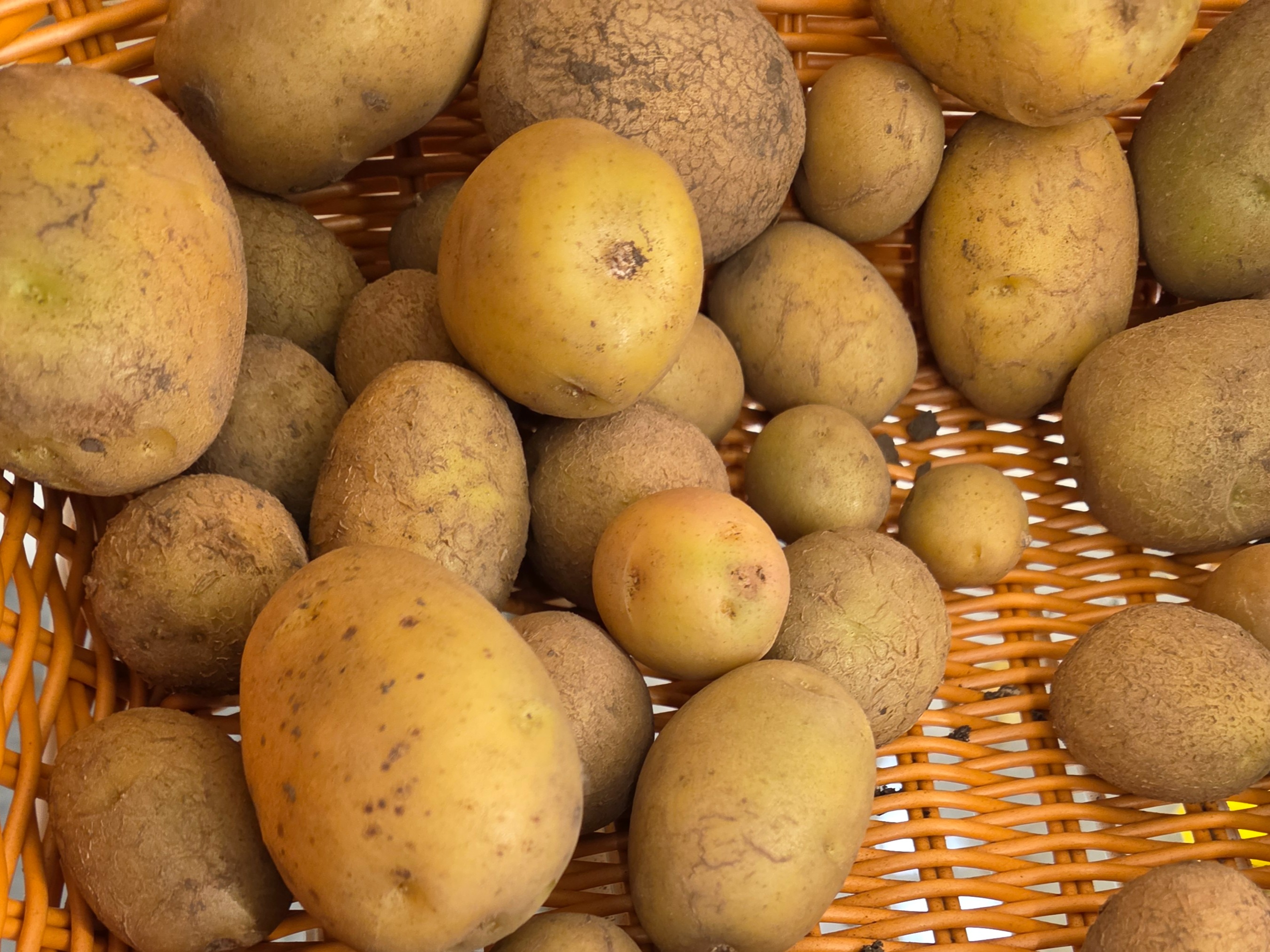 Grab N Go - Potatoes - German Butterball