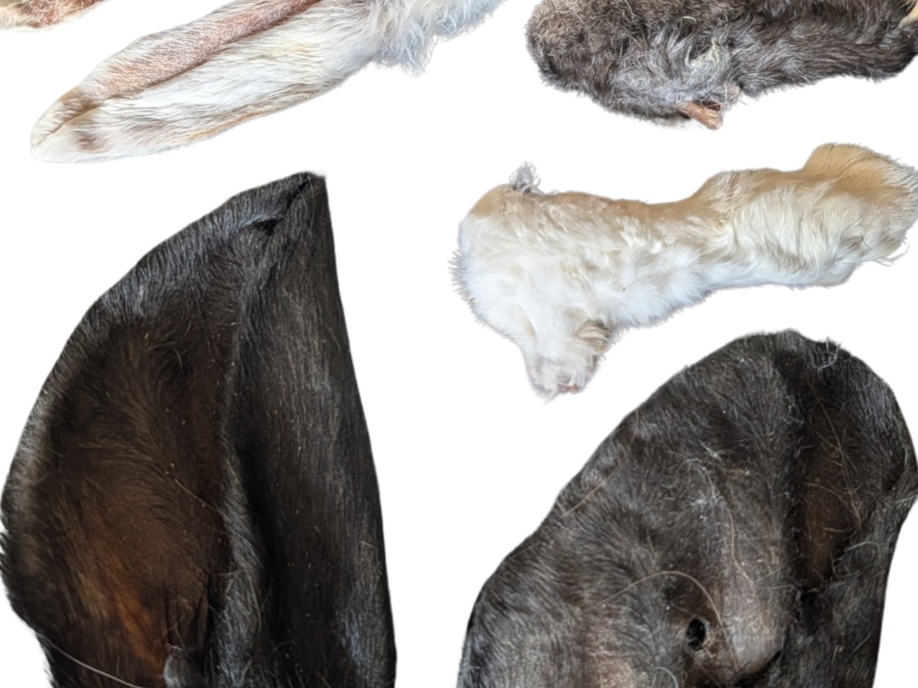 Furry Variety Pack - Dehydrated Dog Treat