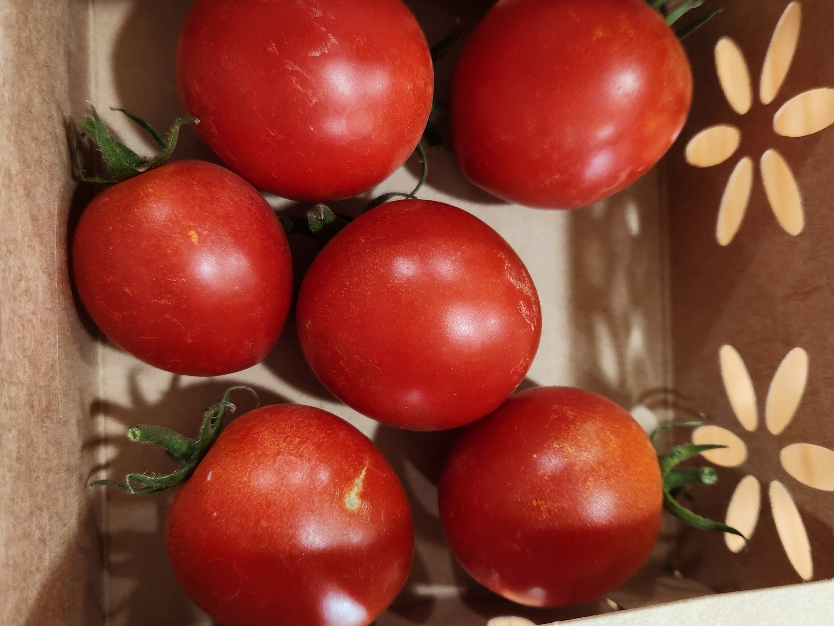 Grab N Go - Tomatoes, Salad - Mountain Magic