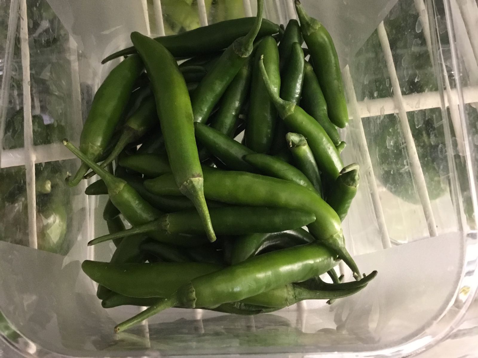Fresh - Pepper, Serrano