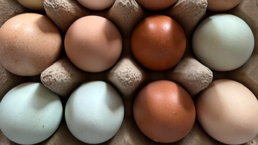 Free-Range Eggs - 1 Dozen