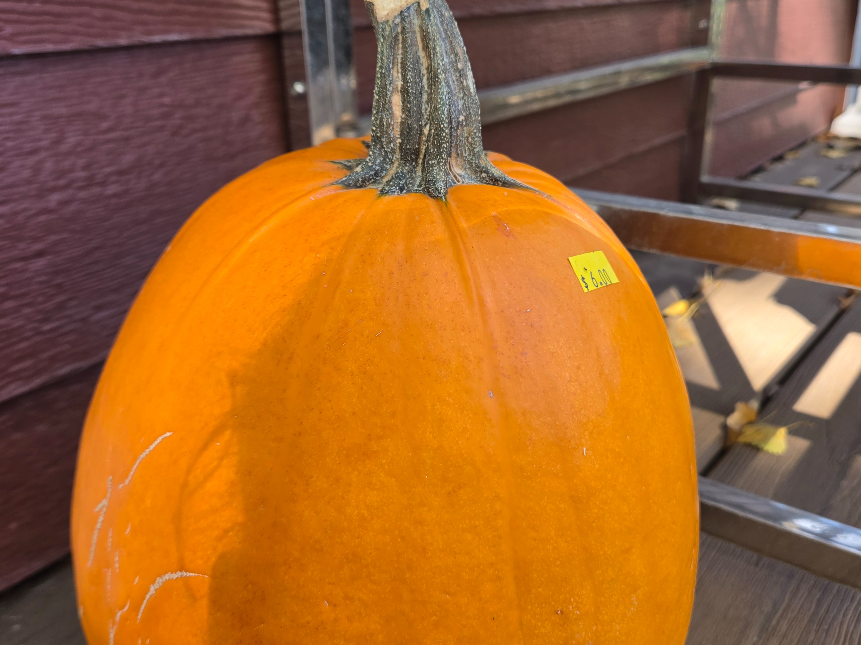 Decor - Carving Pumpkin