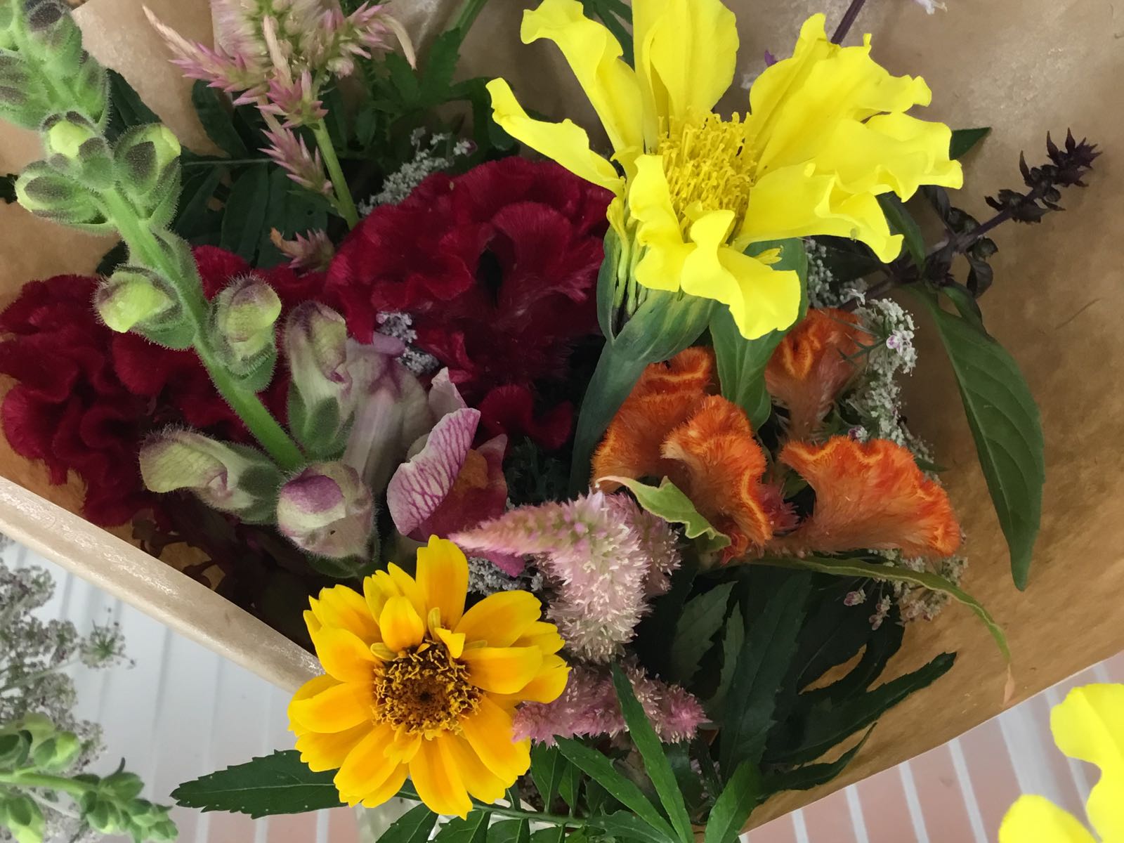 Fresh Cut Bouquet