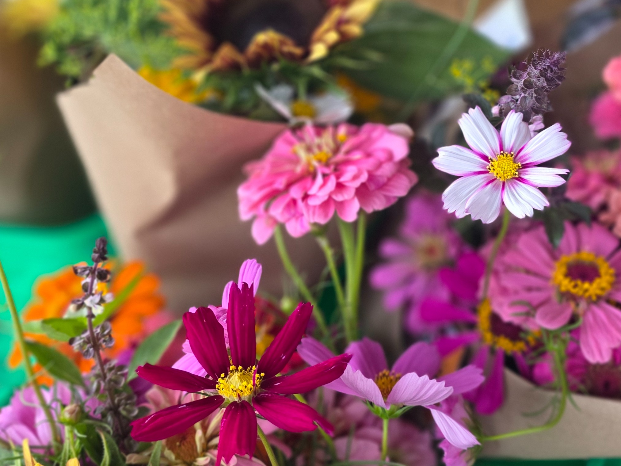 Thumbnail image 1 for Fresh Cut Mixed Flowers