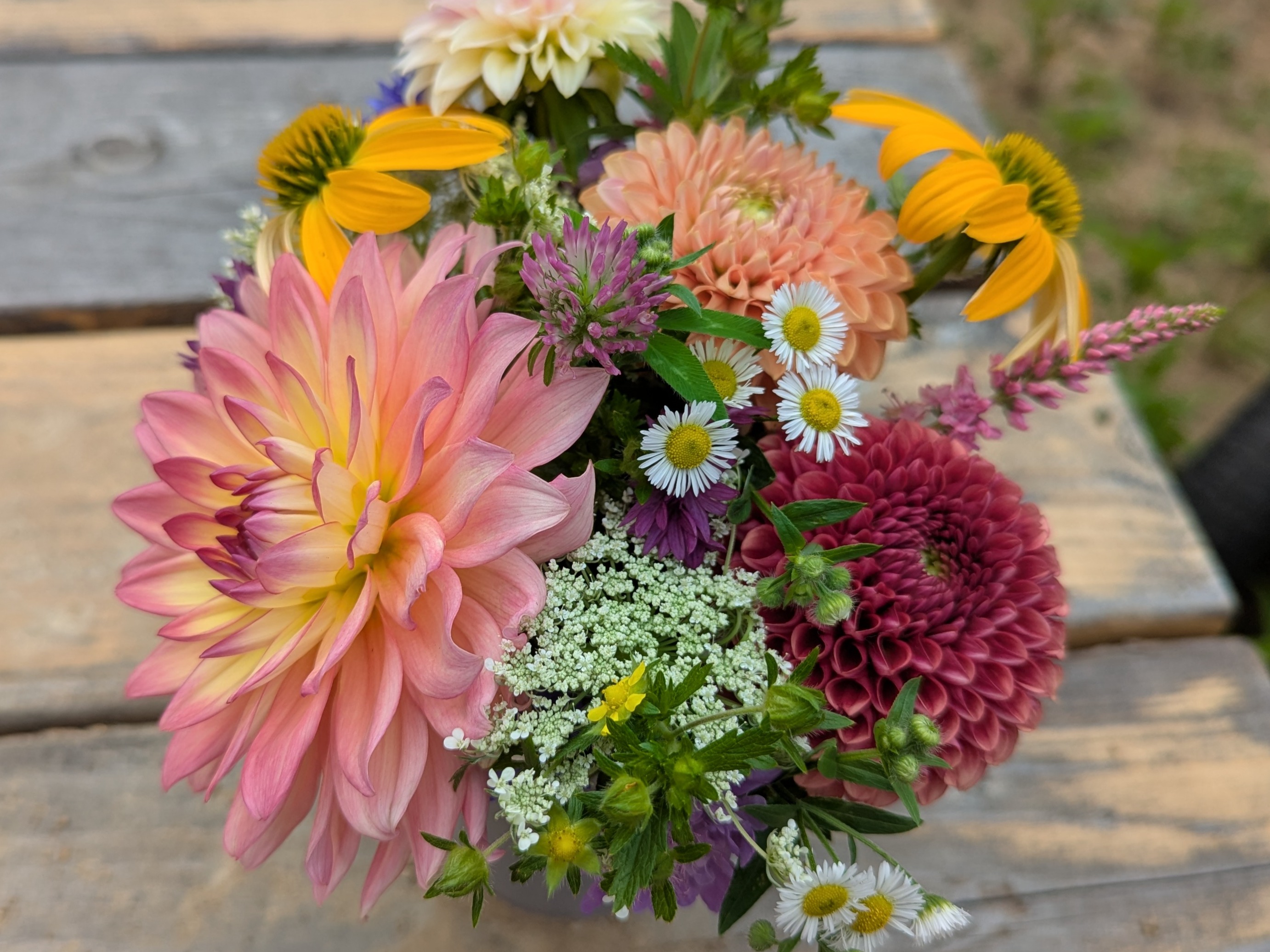 Thumbnail image 2 for Dahlia Farm Bouquet (Medium)