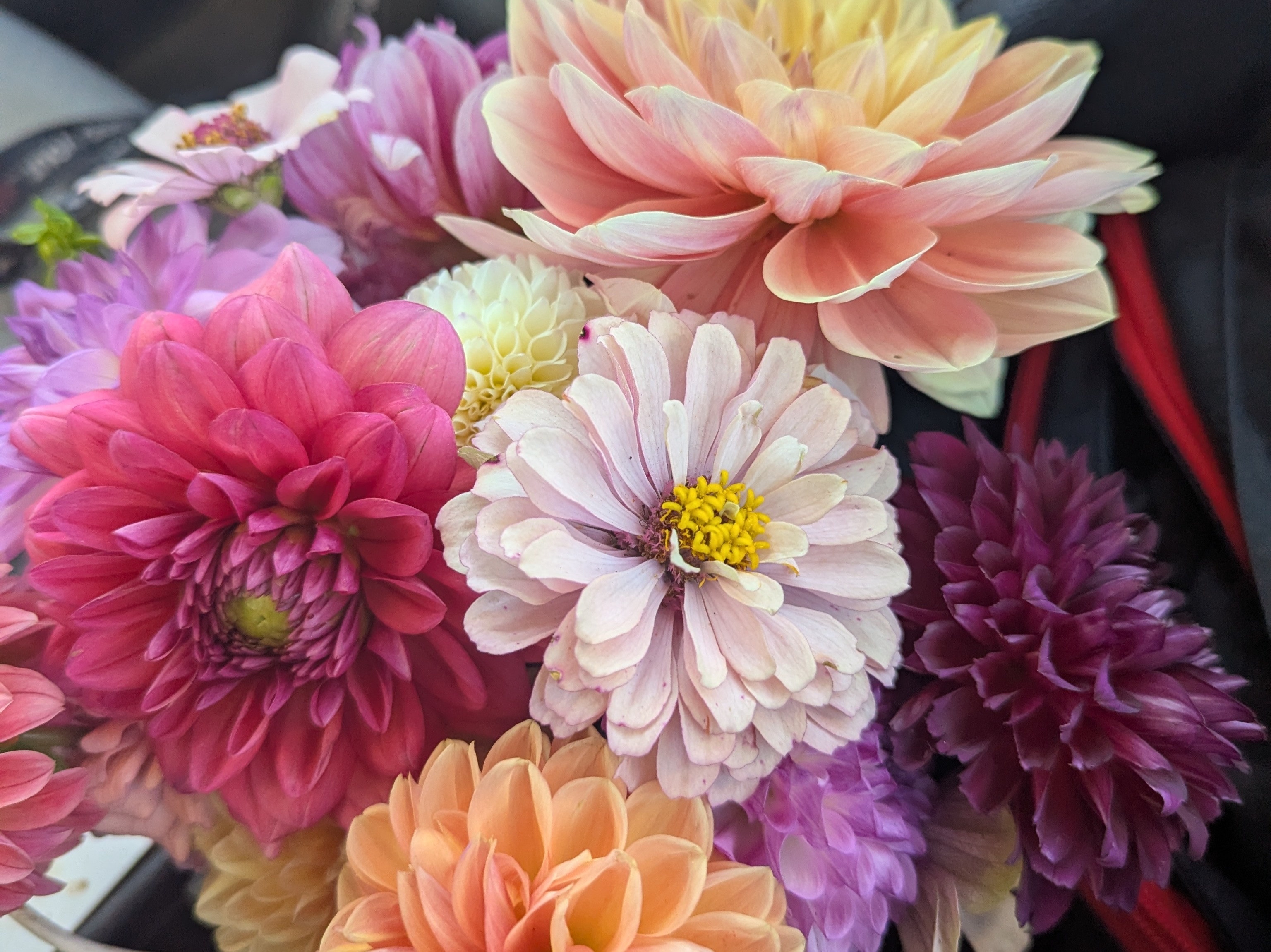 Thumbnail image 3 for Dahlia Farm Bouquet (Medium)