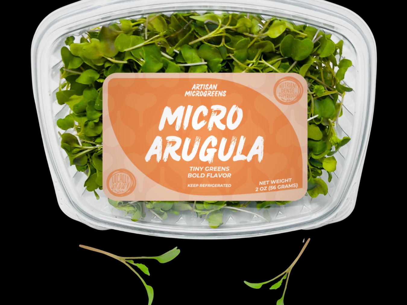 Thumbnail image 1 for Arugula Microgreens