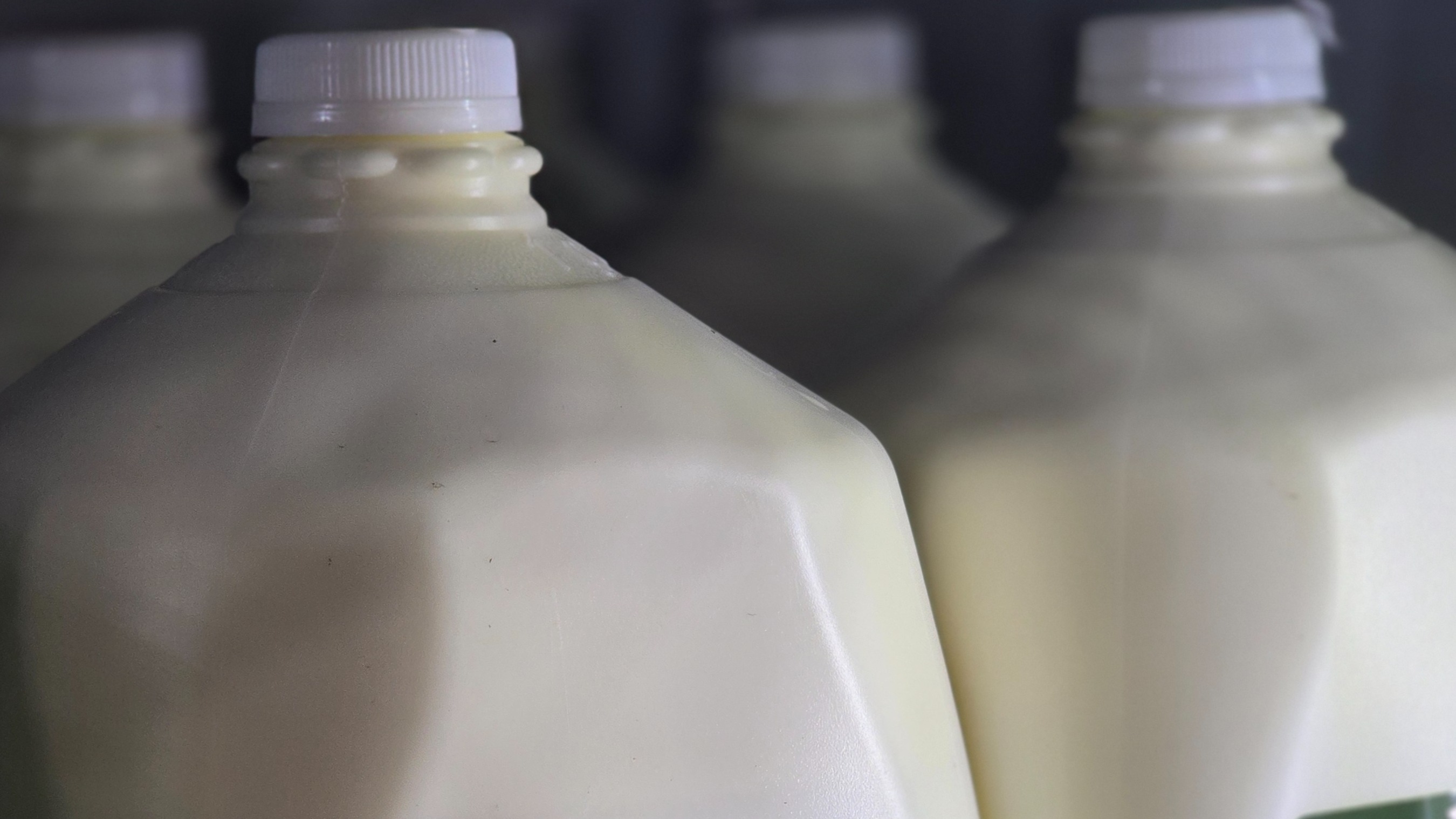 Raw milk gallon