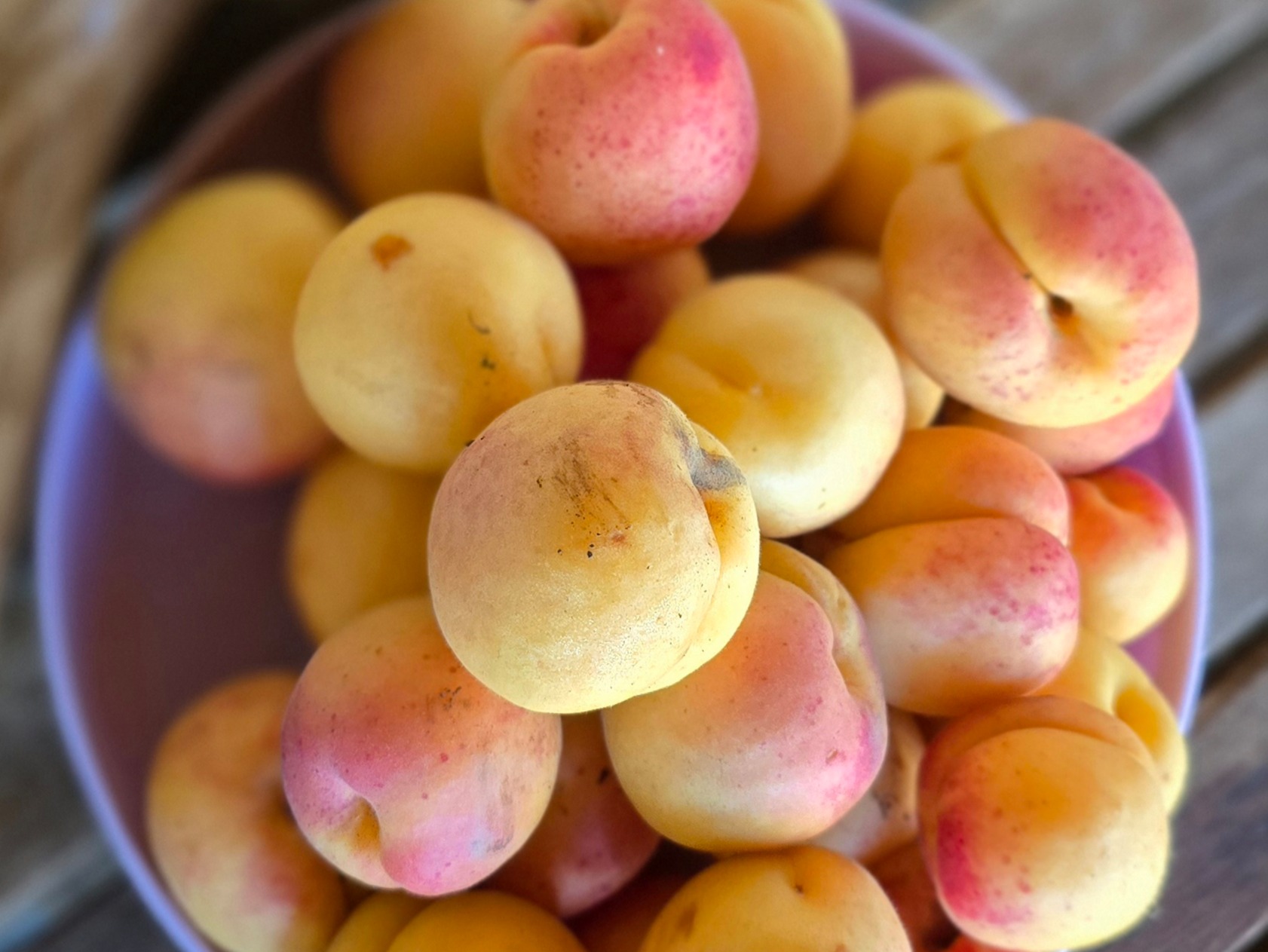 Fresh Apricots 2 Lb Bag