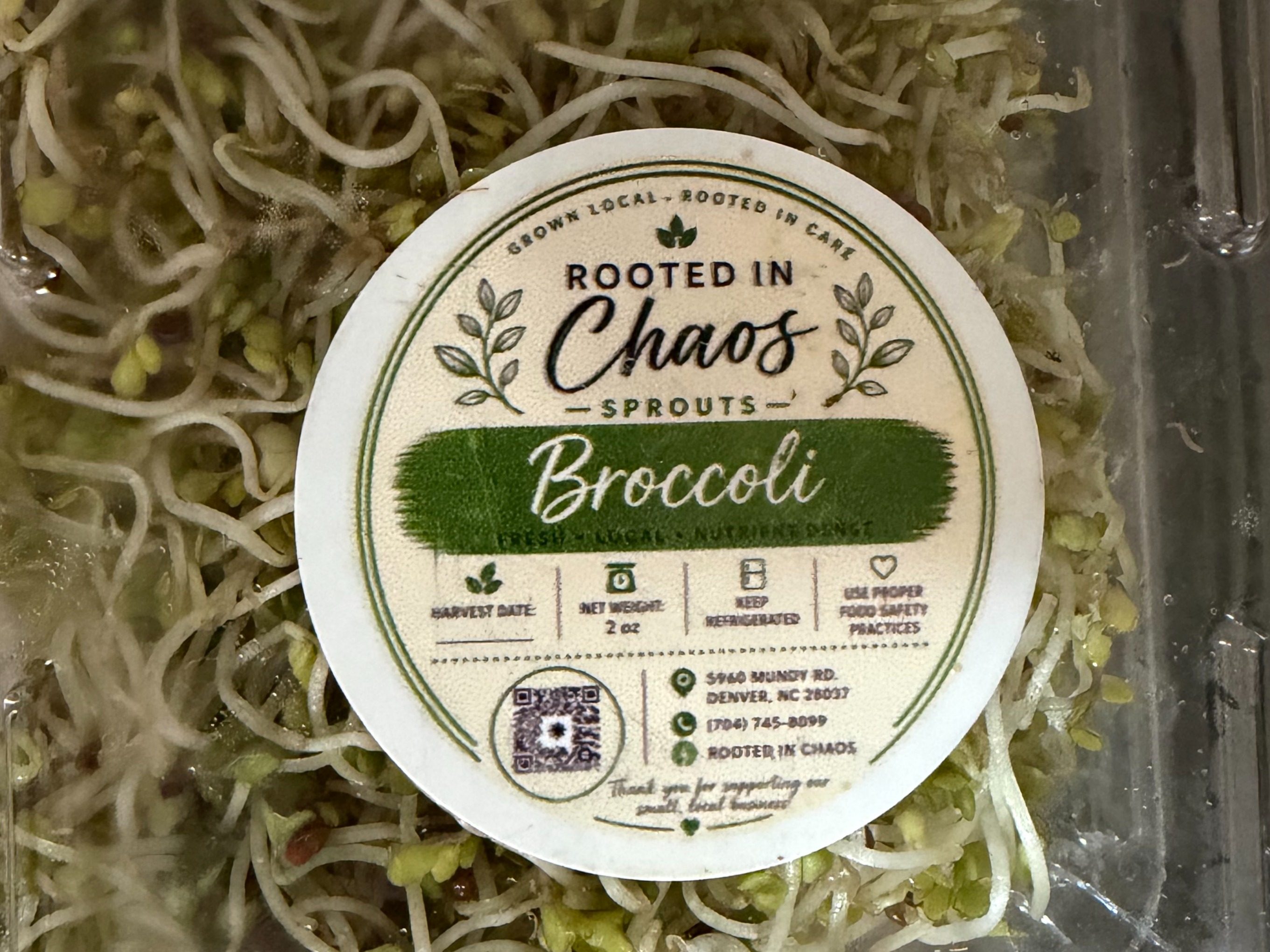 Broccoli Sprouts