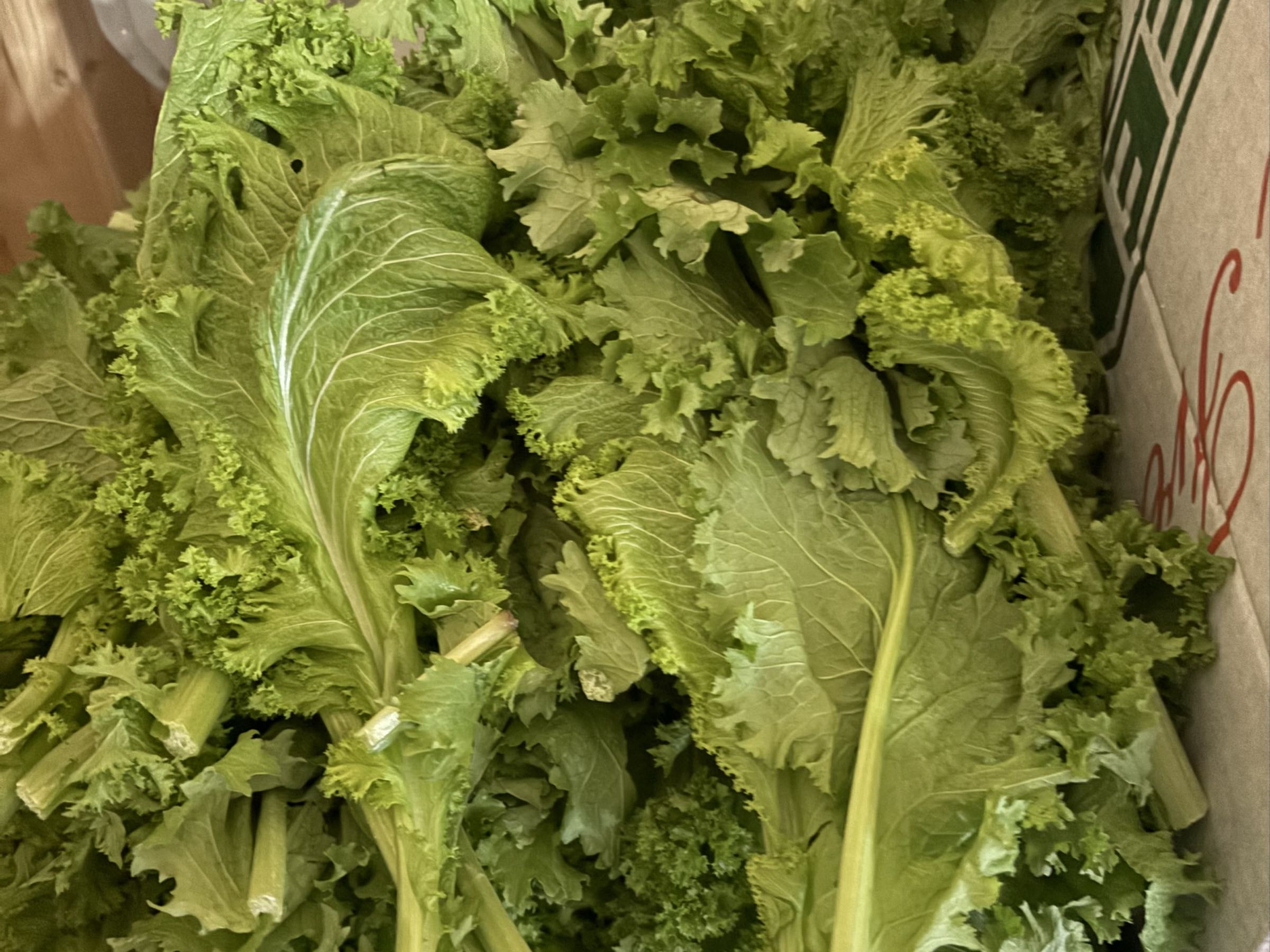 Local Mustard Greens 